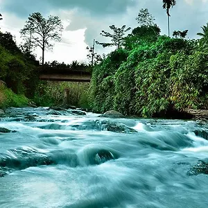 Rivertree Hotel Munnar